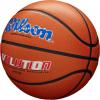 image:imageWilson Evolution BasketballsUSA
