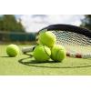 image:imageWilson Extra Duty Tennis BallYellow