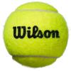 image:imageWilson Roland Garros Clay Tennis Ball  3 Ball CanYellow