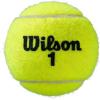 image:imageWilson Roland Garros Clay Tennis Ball  3 Ball CanYellow