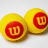 image:imageWilson Starter Foam Tennis Balls YellowRedStarter Foam  Ages 28
