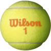 image:imageWilson Starter Tennis Balls  3 ballsStarter Orange  Ages 910