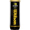 image:imageWilson US Open Tennis BallsExtra Duty