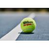 image:imageWilson US Open Tennis BallsExtra Duty