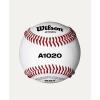image:imageWILSON A1020 Champion Series SST Baseballs  1 Dozen