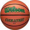 image:imageWilson Evolution BasketballsGreenBrown