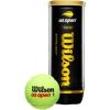 image:imageWilson US Open Tennis BallsExtra Duty