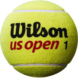 image:imageWILSON US Open Jumbo Tennis BallsYellow