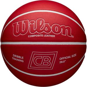 image:imageWILSON x Chris Brickley Training Basketballs  Size 6 and Size 7Dribble Training Ball