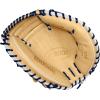 image:imageWilson Winter 2024 A2000 Baseball GlovesNavyBlonde