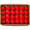 image:imageWILSON TRU 32 Pro Pickleball Case  48 Balls Red