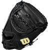 image:imageWilson 2024 Classics Series A2000 Baseball GlovesBlackYellow