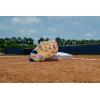 image:imageWilson 2026 A1000 Baseball GlovesBlondeCool BlueFlamingo Pink