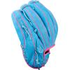 image:imageWilson Fall 2025 A2000 Baseball GlovesBluePink
