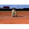 image:imageWilson Summer 2025 A2000 Baseball GlovesBlondeBlack