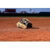 image:imageWilson Summer 2025 A2000 Baseball GlovesBlondeBlack