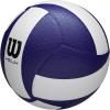 image:imageWilson Helix Official Size VolleyballsBlueWhite
