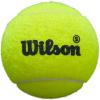 image:imageWilson Premier Padellemon tree