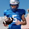 image:imageWILSON GRT Game Footballs Brown Multiple SizesOffical