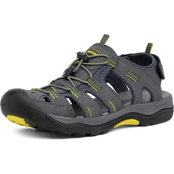 Grey Yellow