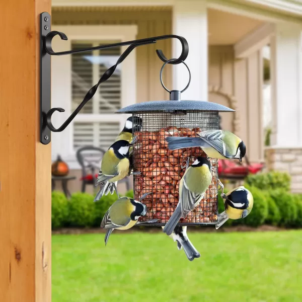 AMAGABELI GARDEN &amp; HOME 2 Pack Hanging Plants Bracket 10 inch Planter Hook Hanger for Outdoor Flower Baskets Pot Bird Feeder Lanterns Garden for Indoor Wall Fence Screw Mount Arm Black BG1571