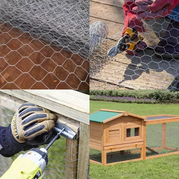 AMAGABELI GARDEN &amp; HOME 2 inch 36inchx50ft Hexagonal Poultry Netting Galvanized Chicken Wire Mesh Fence 20gauge Large Frame with Chicken Netting Rabbits Pets Dog Cat Vegetable Garden Fencing JW009