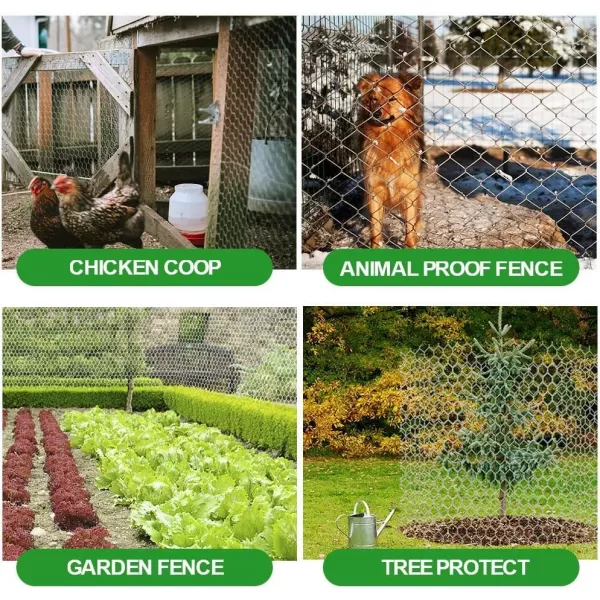 AMAGABELI GARDEN &amp; HOME 2 inch 36inchx50ft Hexagonal Poultry Netting Galvanized Chicken Wire Mesh Fence 20gauge Large Frame with Chicken Netting Rabbits Pets Dog Cat Vegetable Garden Fencing JW009