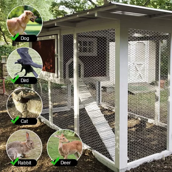AMAGABELI GARDEN &amp; HOME 2 inch 36inchx50ft Hexagonal Poultry Netting Galvanized Chicken Wire Mesh Fence 20gauge Large Frame with Chicken Netting Rabbits Pets Dog Cat Vegetable Garden Fencing JW009