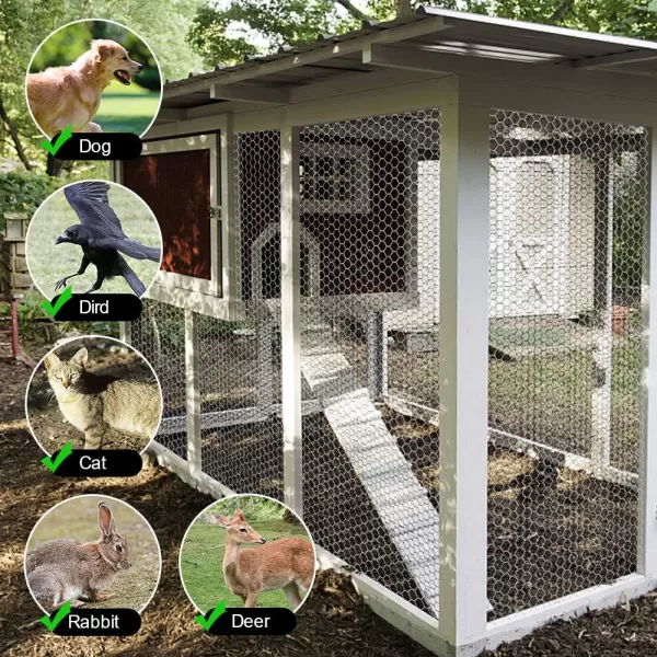 AMAGABELI GARDEN &amp; HOME 2 inch 36inchx50ft Hexagonal Poultry Netting Galvanized Chicken Wire Mesh Fence 20gauge Large Frame with Chicken Netting Rabbits Pets Dog Cat Vegetable Garden Fencing JW009