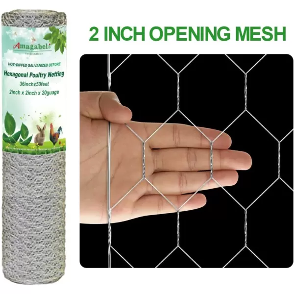 AMAGABELI GARDEN &amp; HOME 2 inch 36inchx50ft Hexagonal Poultry Netting Galvanized Chicken Wire Mesh Fence 20gauge Large Frame with Chicken Netting Rabbits Pets Dog Cat Vegetable Garden Fencing JW009