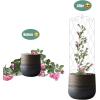 imageAMAGABELI GARDEN ampamp HOME 2 Pack Black Garden Trellis for Climbing Plants 47 x 16 Iron Plant Support Climbing Vines and Flowers Stands Vegetables Patio Metal Lattices Grid Panels for Ivy CucumbersWhite