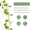 imageAMAGABELI GARDEN ampamp HOME 2 Pack Black Garden Trellis for Climbing Plants 47 x 16 Iron Plant Support Climbing Vines and Flowers Stands Vegetables Patio Metal Lattices Grid Panels for Ivy CucumbersWhite