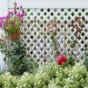 imageAMAGABELI GARDEN ampamp HOME 2 Pack Black Garden Trellis for Climbing Plants 47 x 16 Iron Plant Support Climbing Vines and Flowers Stands Vegetables Patio Metal Lattices Grid Panels for Ivy CucumbersBronze
