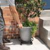 imageAMAGABELI GARDEN ampamp HOME Plant Caddy with Wheels Heavy Duty 14 2 Pack Rolling Plant Stand Plant Dolly Iron Wheeled Lockable Casters Round Pot Mover Rollers Indoor Outdoor Planter Trolley Metal2