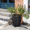 imageAMAGABELI GARDEN ampamp HOME Plant Caddy with Wheels Heavy Duty 14 2 Pack Rolling Plant Stand Plant Dolly Iron Wheeled Lockable Casters Round Pot Mover Rollers Indoor Outdoor Planter Trolley Metal1