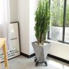 imageAMAGABELI GARDEN ampamp HOME Plant Caddy with Wheels Heavy Duty 14 2 Pack Rolling Plant Stand Plant Dolly Iron Wheeled Lockable Casters Round Pot Mover Rollers Indoor Outdoor Planter Trolley Metal1