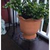 imageAmagabeli 10 inch Metal Plant Stand Heavy Duty for Outdoor Indoor Plants Wrought Iron Rustproof Iron Flower Potted Pot Planter Holder Rack Short Trivet Floor Garden Containers Display Black hpt0012