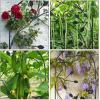 imageAmagabeli 4 Pack Garden Trellis for Climbing Plants Outdoor 46quot x 15quot Rustproof Sturdy Black Iron Trellis Plants Support Metal Trellis for Climbing Rose Vine Vegetable Flower Ivy CucumberBlack46 leaf