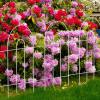 imageAmagabeli garden ampamp home 32inH20ftL Decorative Garden Fences and Borders for Dogs 14panels No Dig Metal Fence Panel Garden Edging Border Fence for Animal Barrier Fencing for Flower Bed Yard GreenWhite
