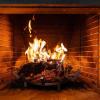 imageAMAGABELI GARDEN ampamp HOME 24in Fire Grate Log Grate Wrought Iron Fire Pit Round Spider Wagon Wheel Firewood Grate Heavy Duty 07in Bar Fireplace Stove Burning Rack Holder 4Legs Chimney Hearth BG27427 inch