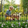 imageAMAGABELI GARDEN ampamp HOME 10 Panels Decorative Garden Fences and Borders for Dogs 22inH10ftL No Dig Metal Fence Panels Garden Edging Border Fence for Animal Barrier Fencing for Flower Beds Yard