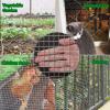 imageAMAGABELI GARDEN ampamp HOME 36inchx50ft SS304 Stainless Steel Welded Wire Mesh 12 inch Square Hardware Cloth 18 GaugeIdeal for HighGrade DIY Cages Rodent Mesh Cabinets Wire Mesh Window Screen BG234
