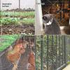 imageAMAGABELI GARDEN ampamp HOME Hardware Cloth 12 inch 16inx25ft Galvanized After Welding 19 Gauge Square Chicken Wire Fence Mesh Roll Raised Garden Bed Plant Supports Poultry Netting Cage Snake Fence12inch 16in25ft