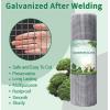 imageAMAGABELI GARDEN ampamp HOME Hardware Cloth 14inch 36inchx100ft 23Gauge Galvanized Welded Wire Metal Roll Garden Rabbit Fencing Snake Fence for Chicken Critters Gopher Racoons Rehab Cage JW00314inch 36inx50ft