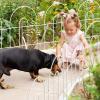 imageAMAGABELI Garden ampamp Home Decorative Garden Fence Border 35panels 18inch x 50ft Animal Barrier Fence Border Black Thicken Metal Wire Fencing Rustproof Landscape Patio Flower Bed Edge SectionWhite