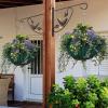 imageAMAGABELI GARDEN ampamp HOME 2 Pack 12 inch Hanging Brackets for Plants Outdoor Hangers Hanging Planter Hooks Lanterns Plant Hooks Hangers Hanging Basket Brackets Bird Feeder Bracket with Screws BG1511Bronze