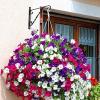 imageAMAGABELI GARDEN ampamp HOME 4 Pack Hanging Plants Bracket 12quot Outdoor Hanger Planter Hooks Flower Baskets Pot Bird Feeder Lanterns Hanger Garden for Wall Fence Screw Mount Arm Metal Black BG154Black