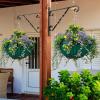 imageAMAGABELI GARDEN ampamp HOME 4 Pack Hanging Plants Bracket 12quot Outdoor Hanger Planter Hooks Flower Baskets Pot Bird Feeder Lanterns Hanger Garden for Wall Fence Screw Mount Arm Metal Black BG154Black