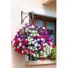 imageAMAGABELI GARDEN ampamp HOME Hanging Plants Bracket 10 Wall Planter Hooks Hangers Flower Pot Bird Feeder Wind Chime Lanterns Patio Lawn Garden for Shelf Shelves Fence Screw Mount Against Door Arm
