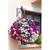 imageAMAGABELI GARDEN ampamp HOME Hanging Plants Bracket Hanger 11quot Wall Planter Hook Flower Pot Baskets Bird Feeder Wind Chime Lanterns Patio Garden for Outdoor Screw Mount Arm Hardware Butterfly Black hook06